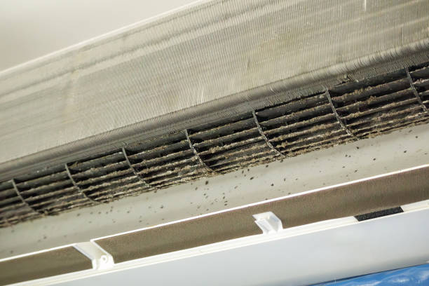 Best Local Air Duct Cleaning Services  in Tyrone, PA